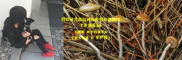 амф Богородск