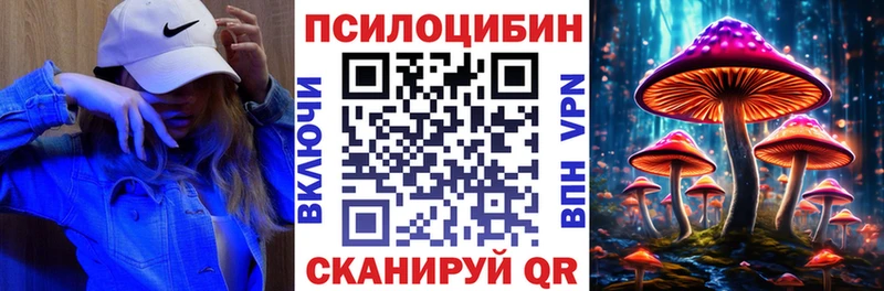 как найти наркотики  МЕГА как войти  Псилоцибиновые грибы Psilocybine cubensis  Мураши 